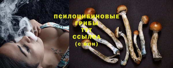 не бодяженный Михайловск